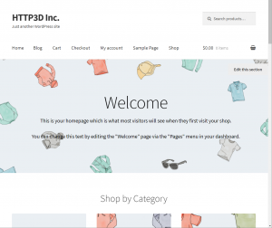 Traditional Online Store