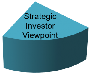 Strategic Investor Viewpoint